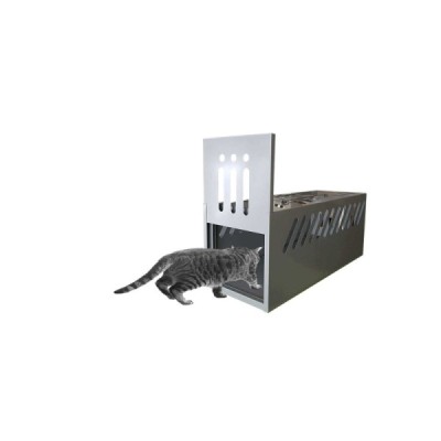 PET SHOP|ciftlik reyonu