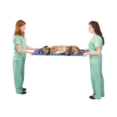 PET SHOP|ciftlik reyonu