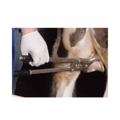 48 cm burdizzo