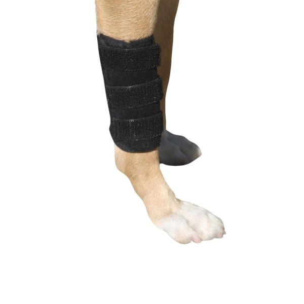 Balen Destekli Köpek Ön Ayak Kısa Bileklik - Medium